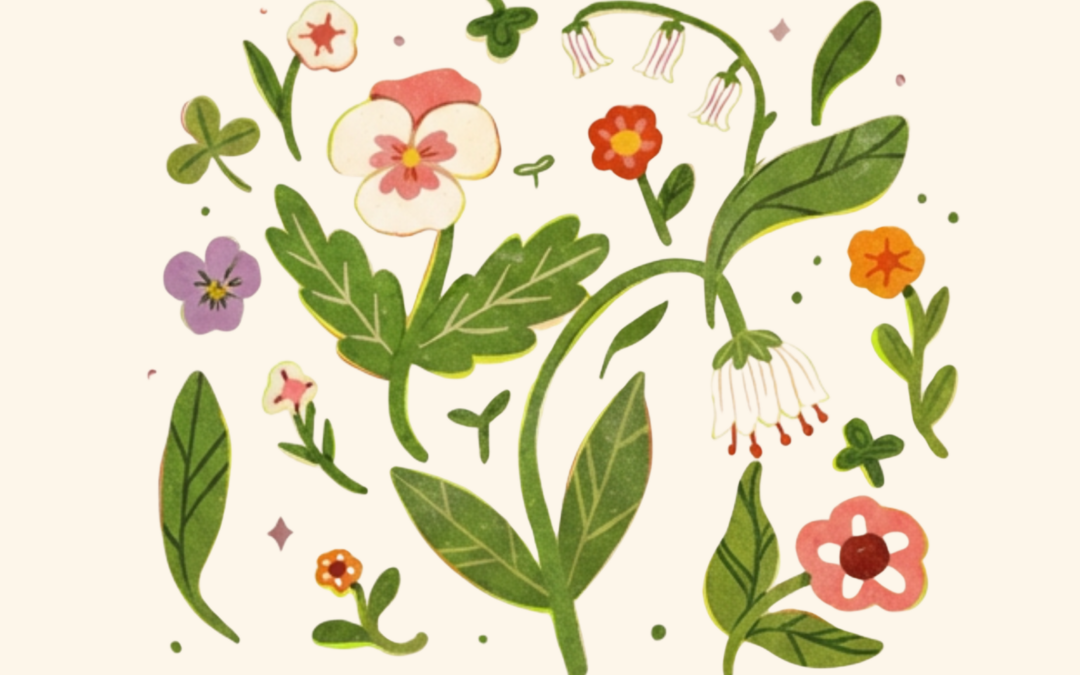 SUMMER MARKET BY OTTISTRY